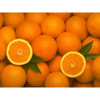 Апельсин Valencia